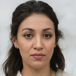 Lê Minh Chính Sách